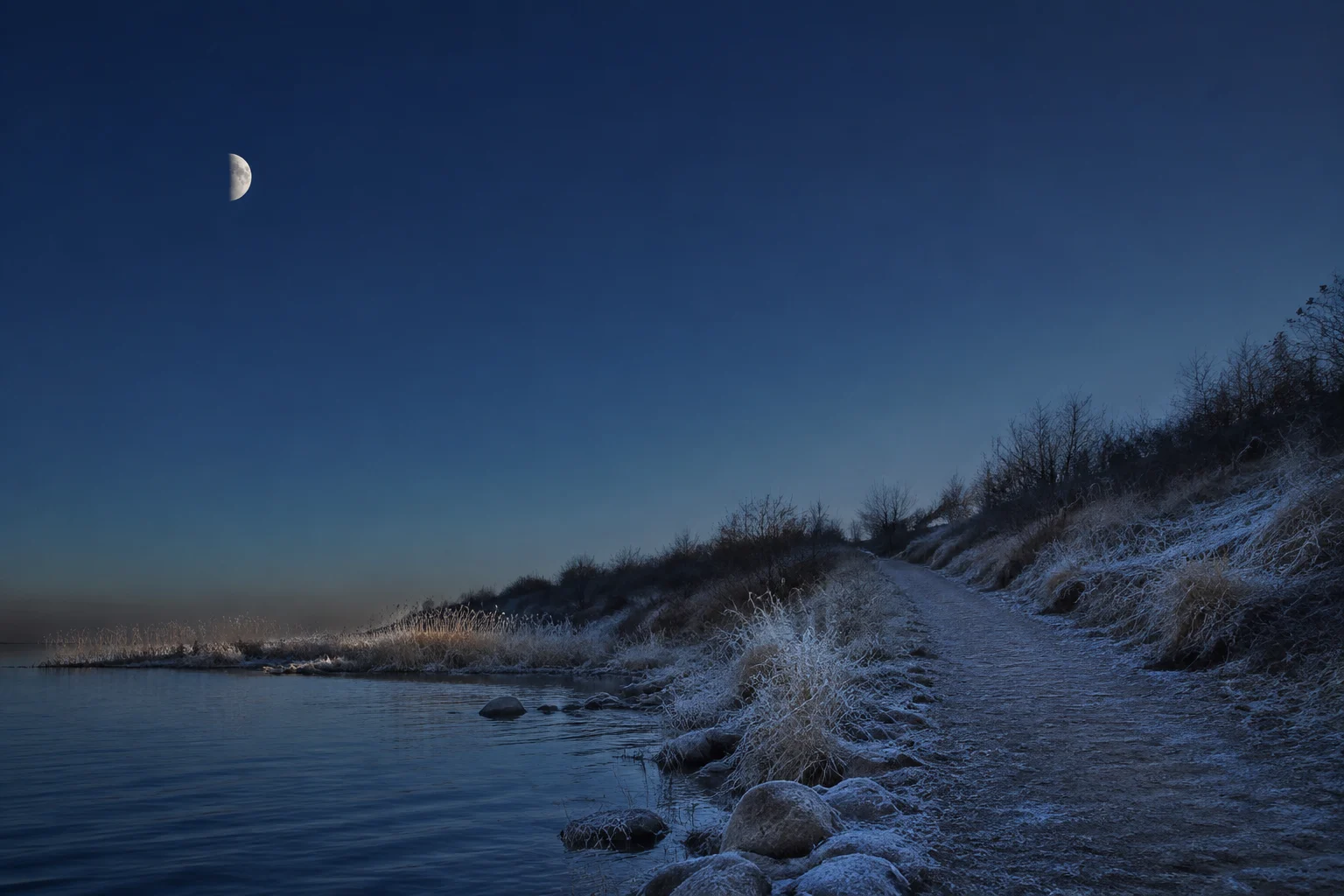 2026년 1월 상현달 안내용 AI 생성 풍경. 실제 관측 사진 아님.