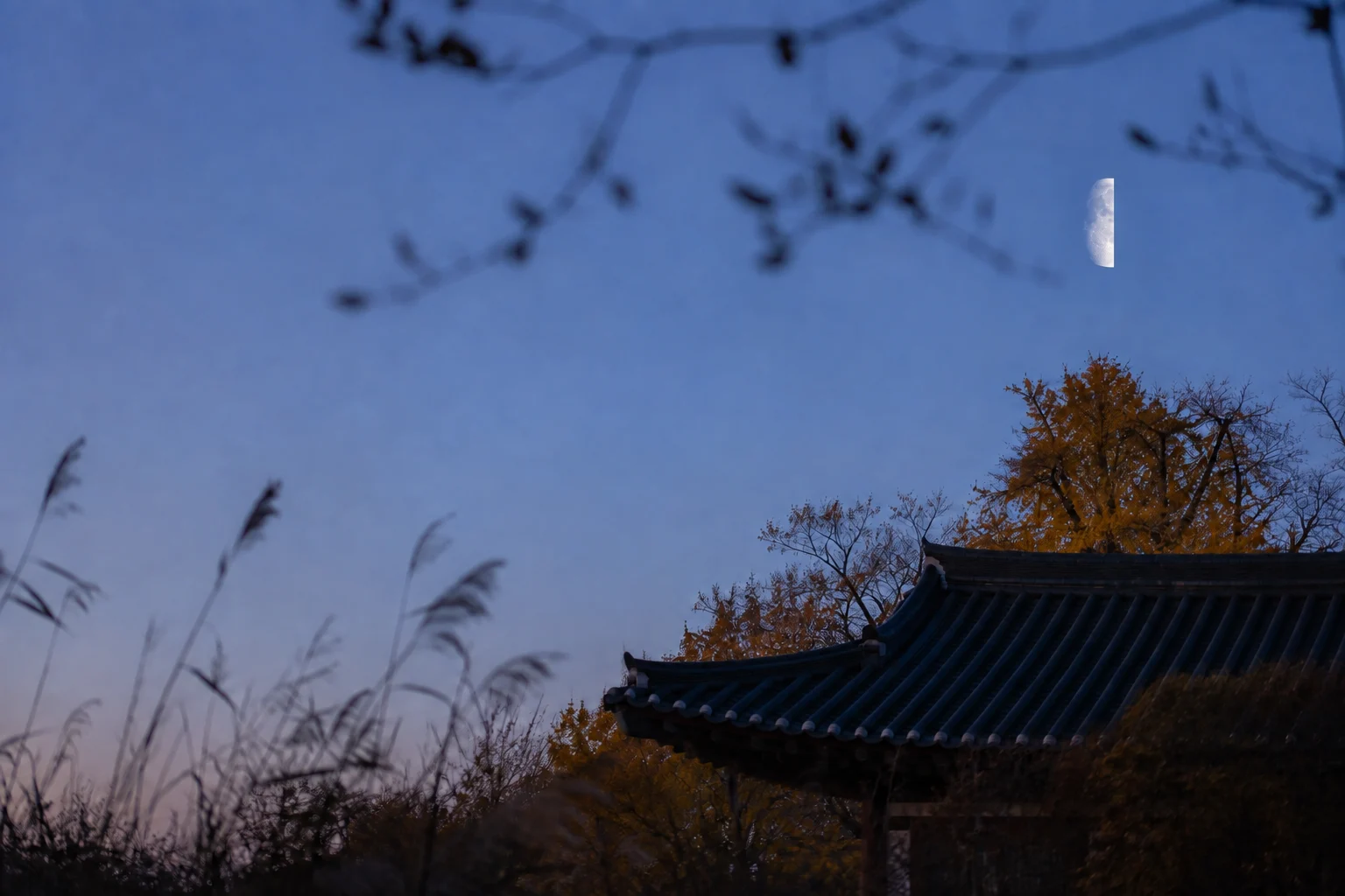 2027년 10월 하현달 안내용 AI 생성 풍경. 실제 관측 사진 아님.