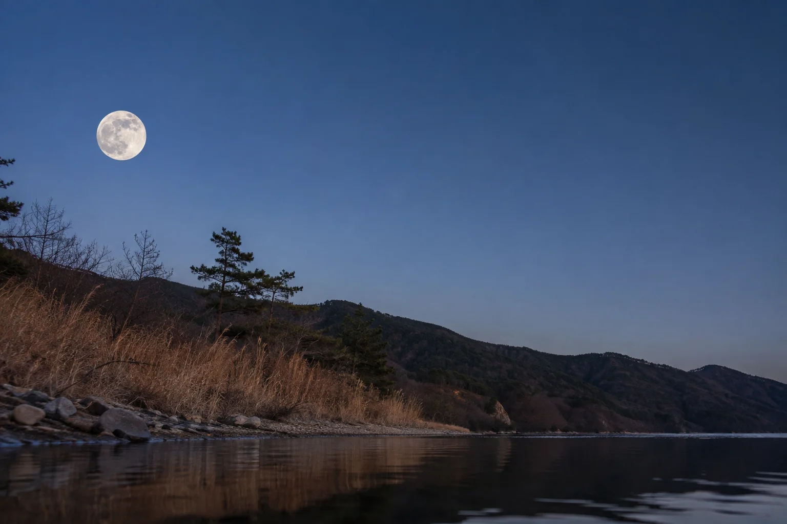 2028년 11월 보름달 안내용 AI 생성 풍경. 실제 관측 사진 아님.