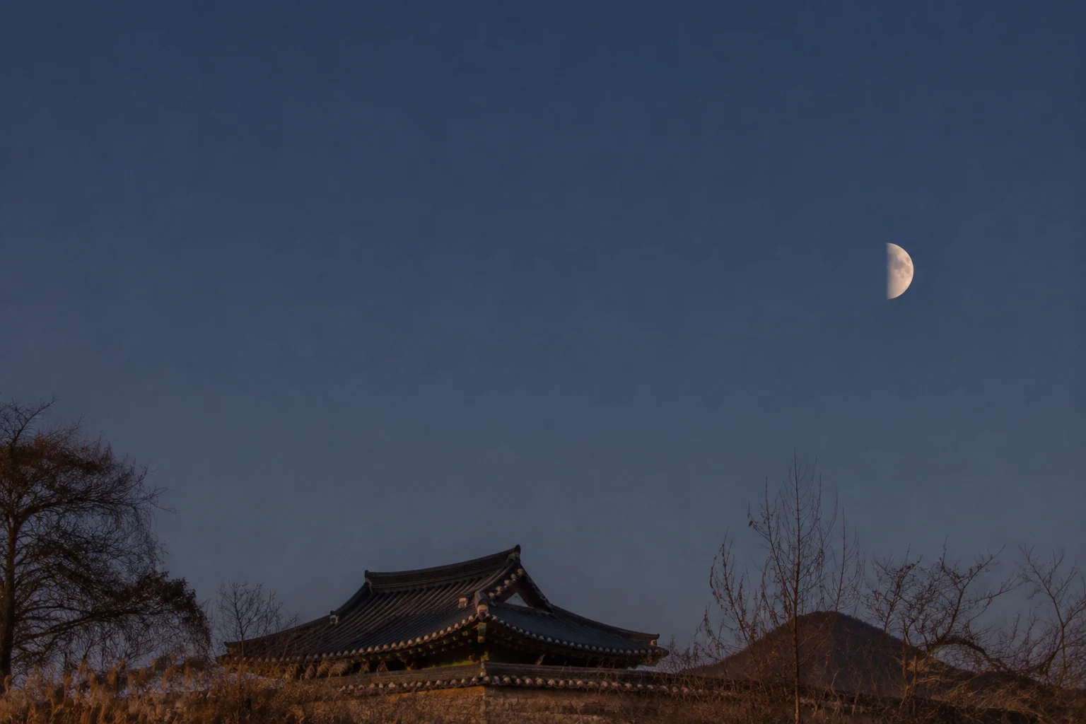 2029년 11월 상현달 안내용 AI 생성 풍경. 실제 관측 사진 아님.