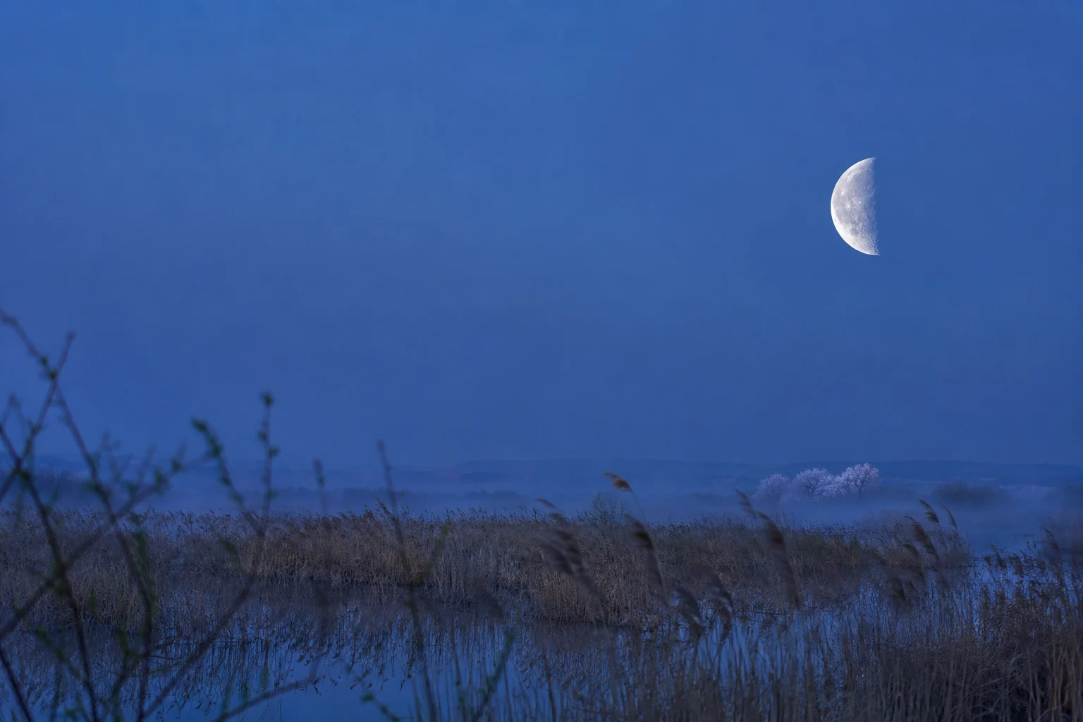 2035년 4월 하현달 안내용 AI 생성 풍경. 실제 관측 사진 아님.