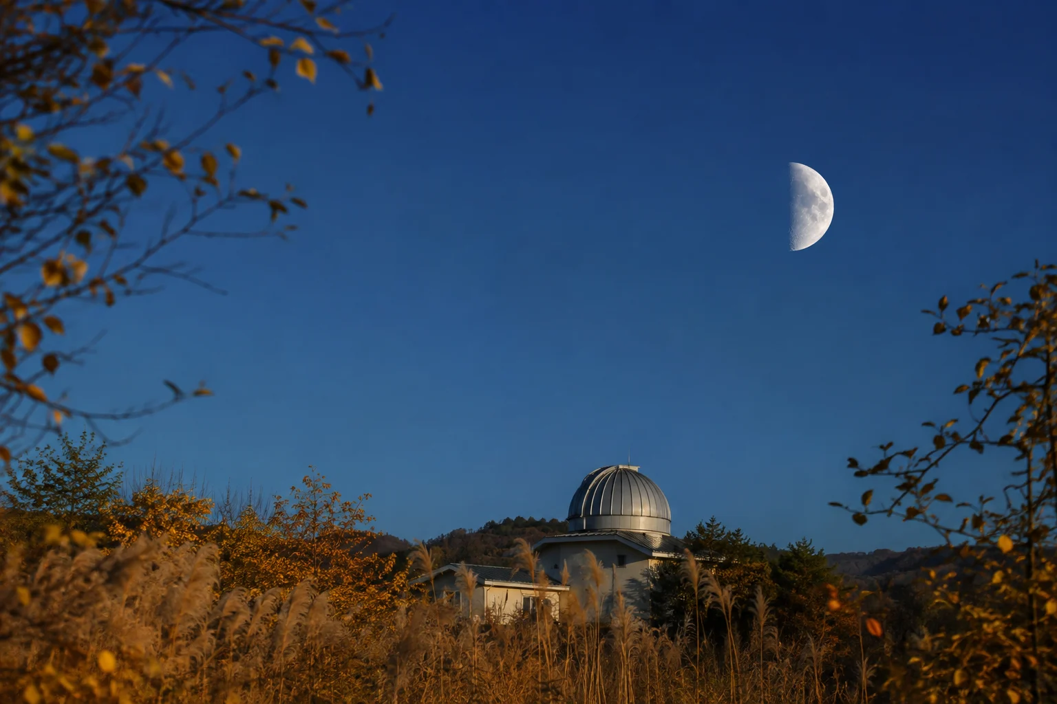 2040년 10월 상현달 안내용 AI 생성 풍경. 실제 관측 사진 아님.