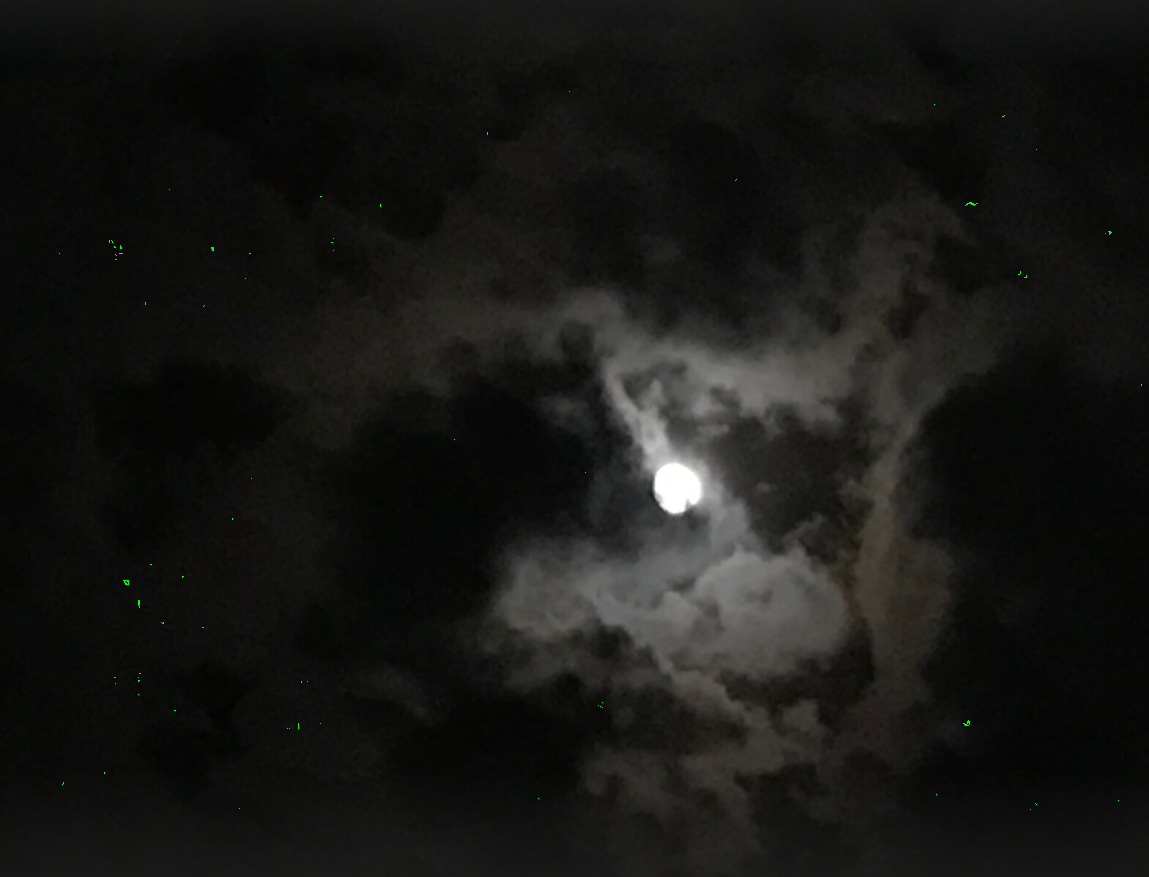 오늘 달 모양 보름달 유두절 6월15일