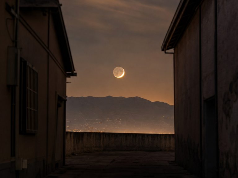 이날 올라온 달 사진