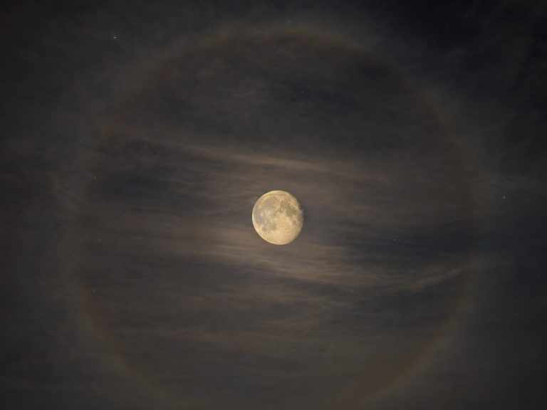 이날 올라온 달 사진