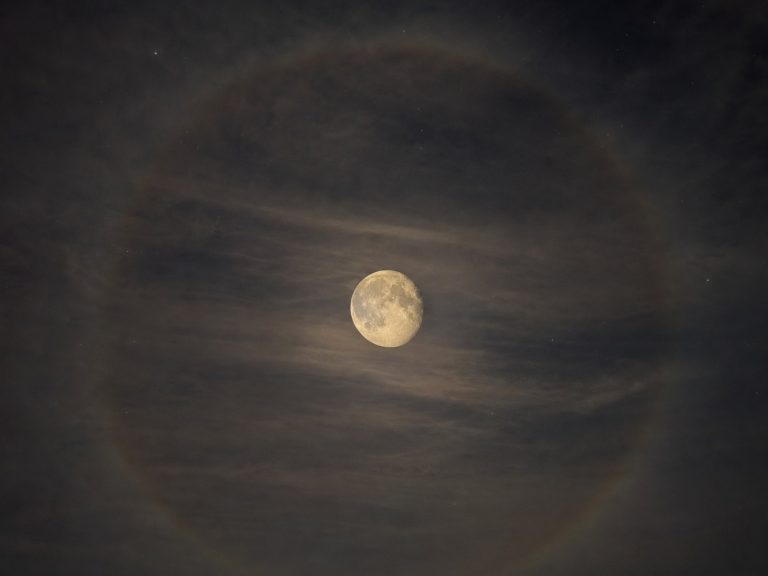 이날 올라온 달 사진