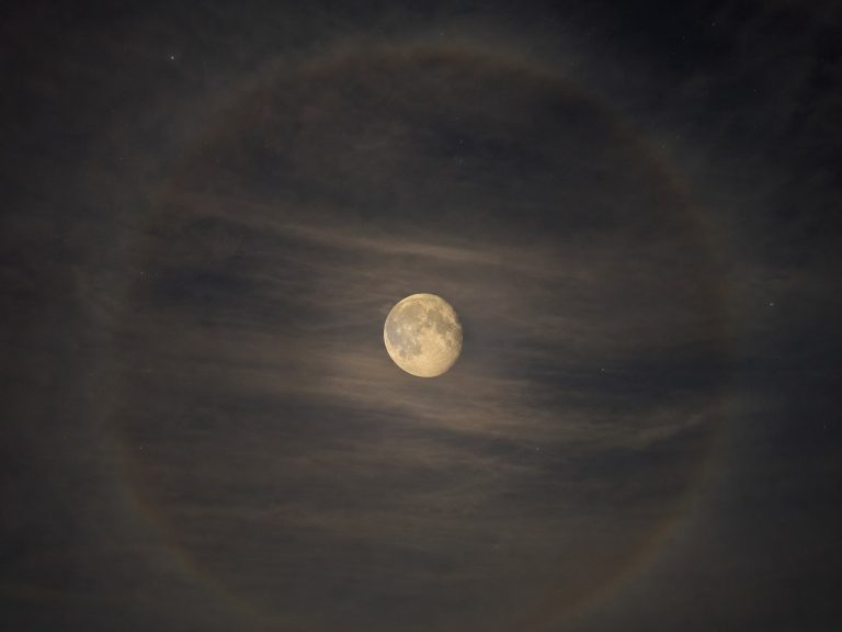 이날 올라온 달 사진