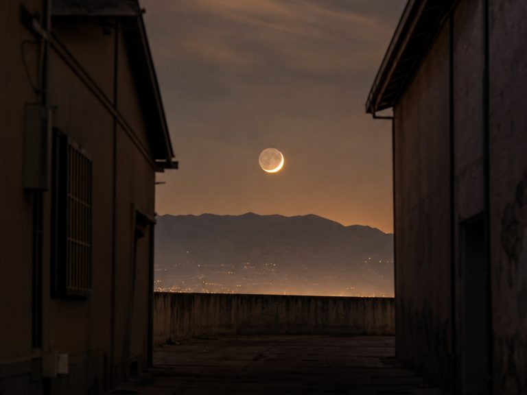 이날 올라온 달 사진