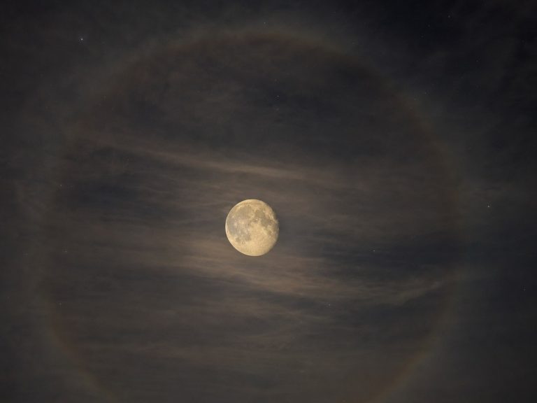 이날 올라온 달 사진
