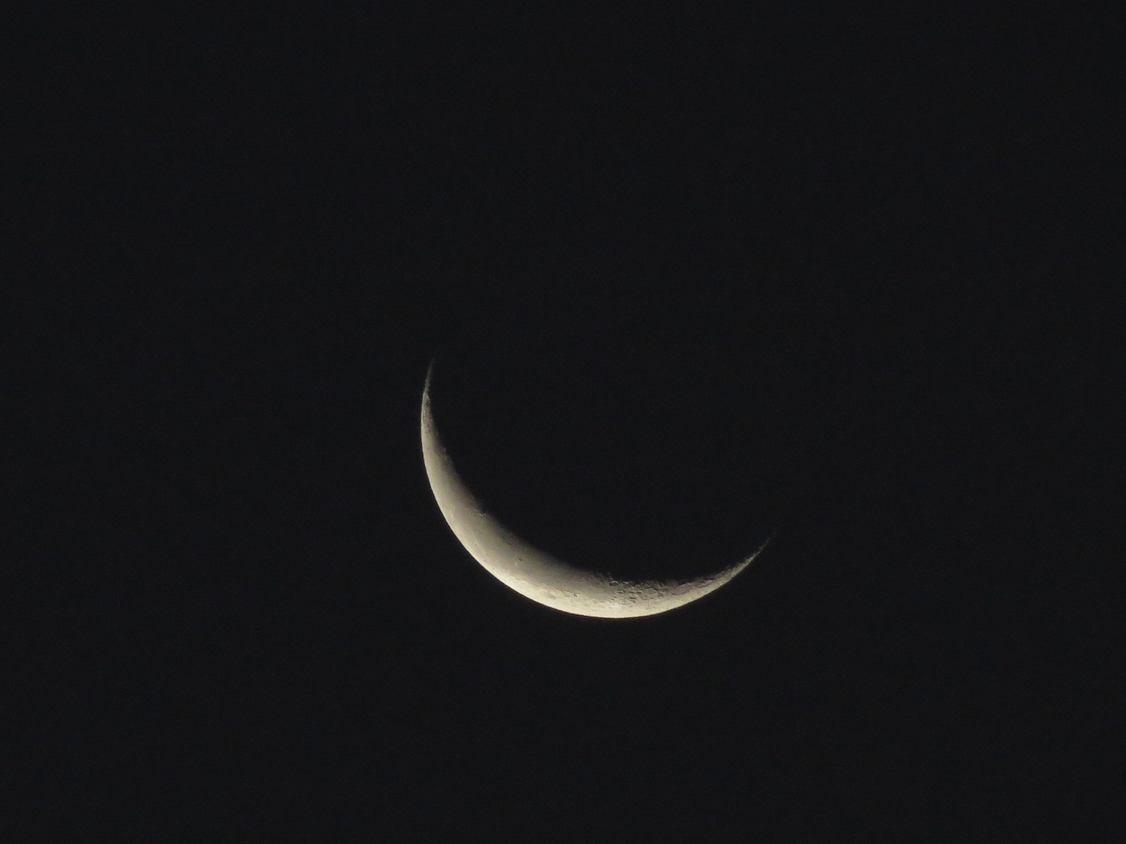1월 16일 달력